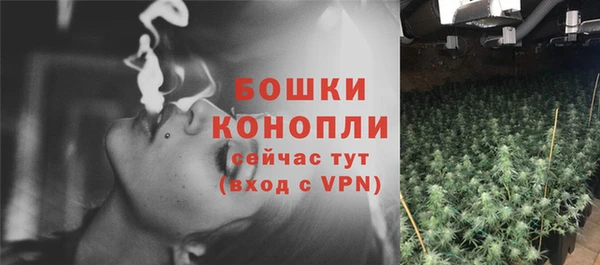 молекула духа Аркадак
