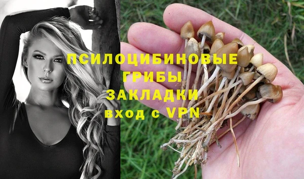 гашиш Арсеньев