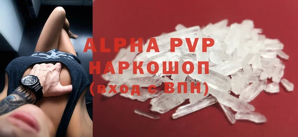 гашик Алексин